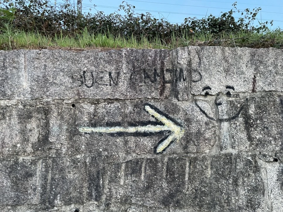 IMG_9718.jpg?type=w966