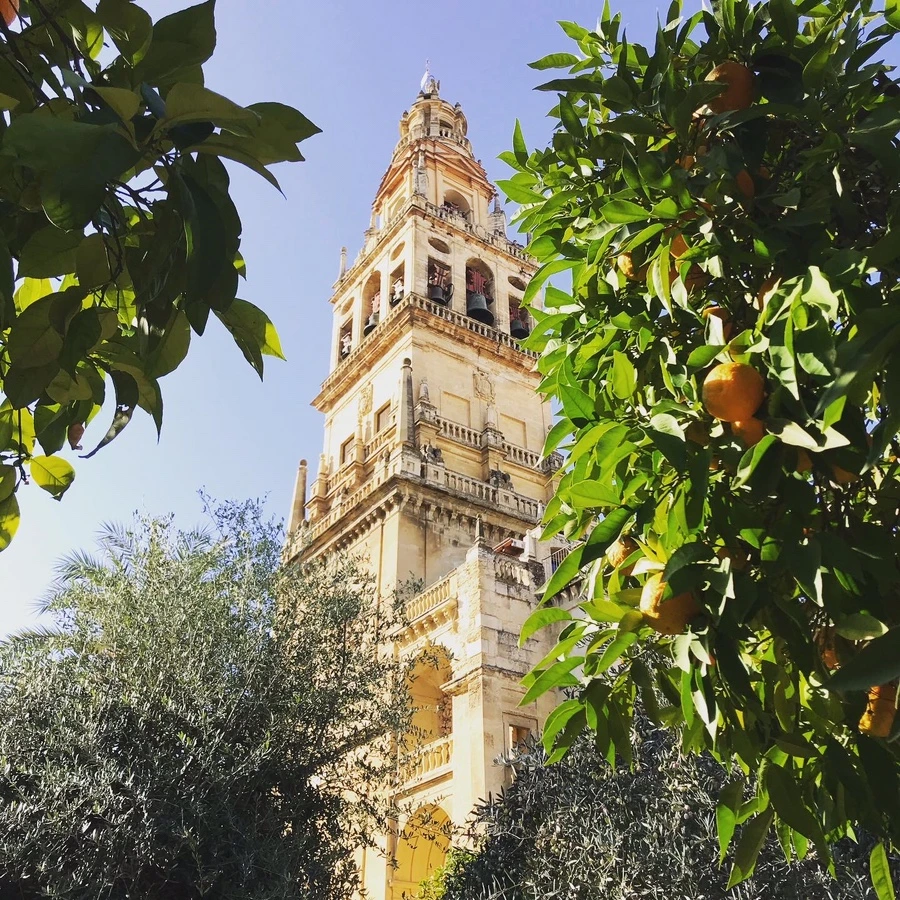 A2123B2A-5A6F-4FF7-891B-DA928FFE88F1.jpg?type=w966