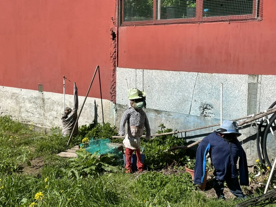 IMG_9858.jpg?type=w966