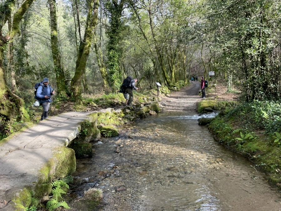 IMG_9638.jpg?type=w966