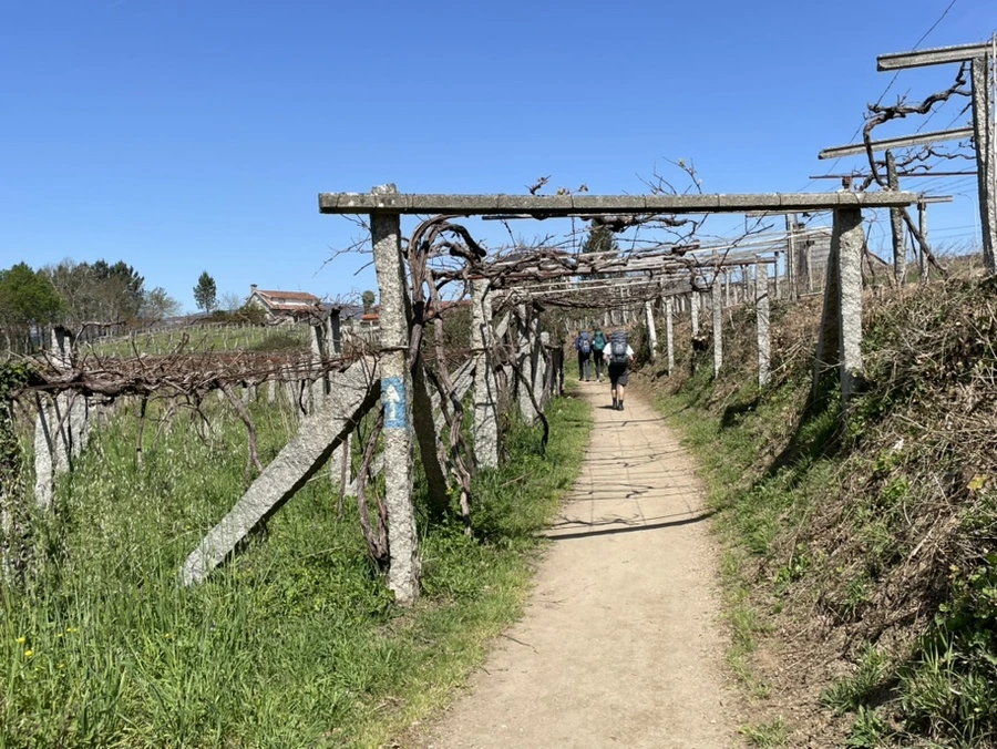 IMG_9658.jpg?type=w966