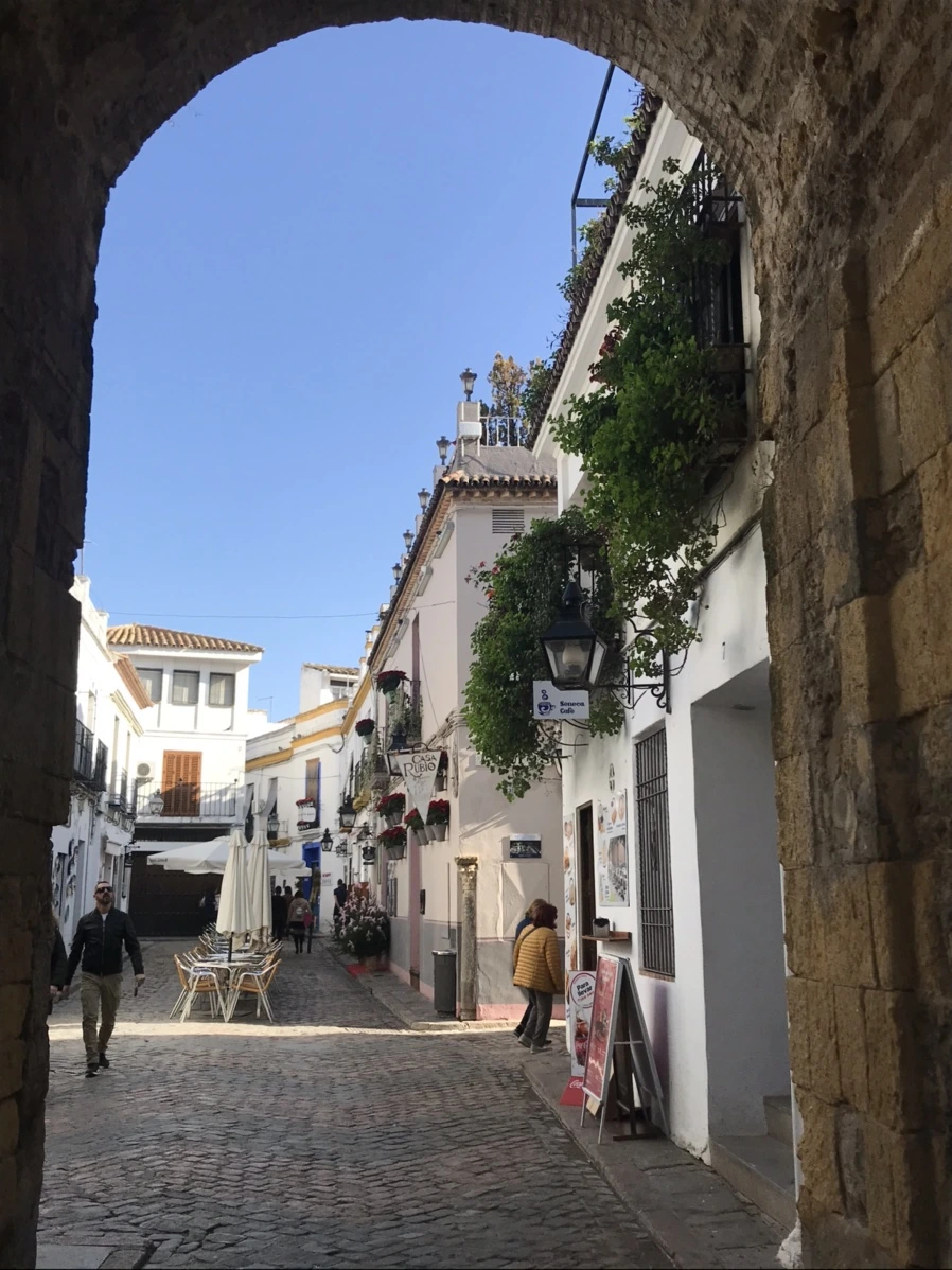 IMG_8815.jpg?type=w1