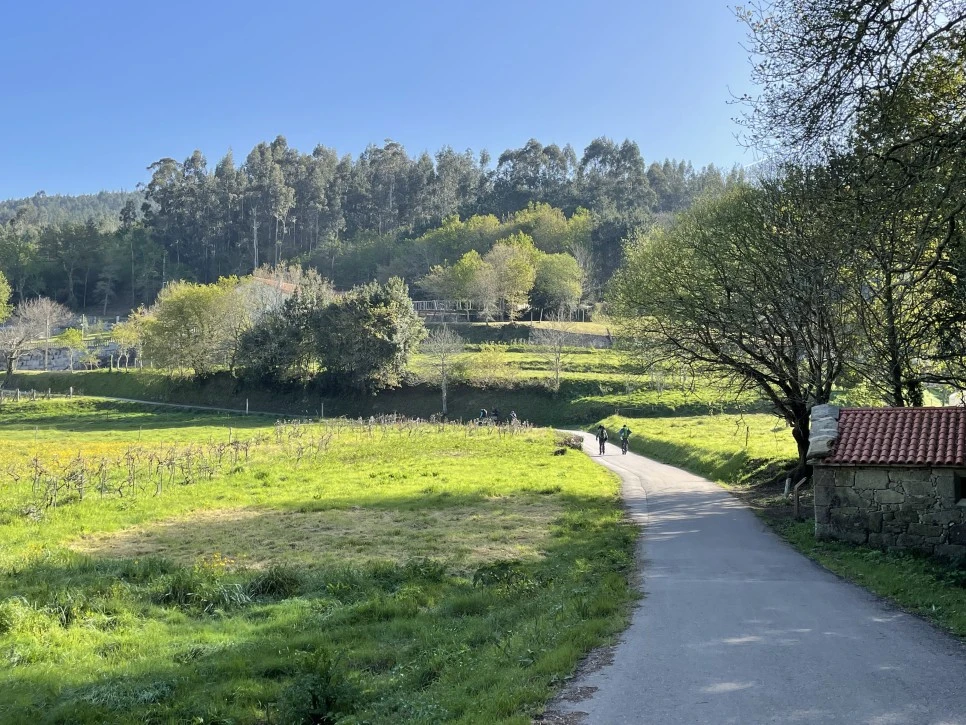 IMG_9760.jpg?type=w966