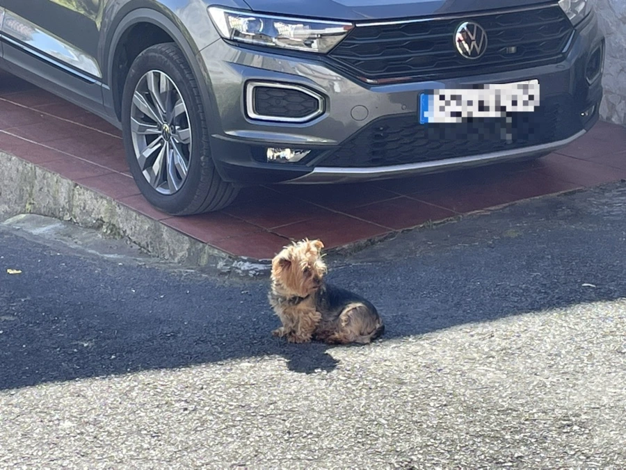 output_3656901755.jpg?type=w966