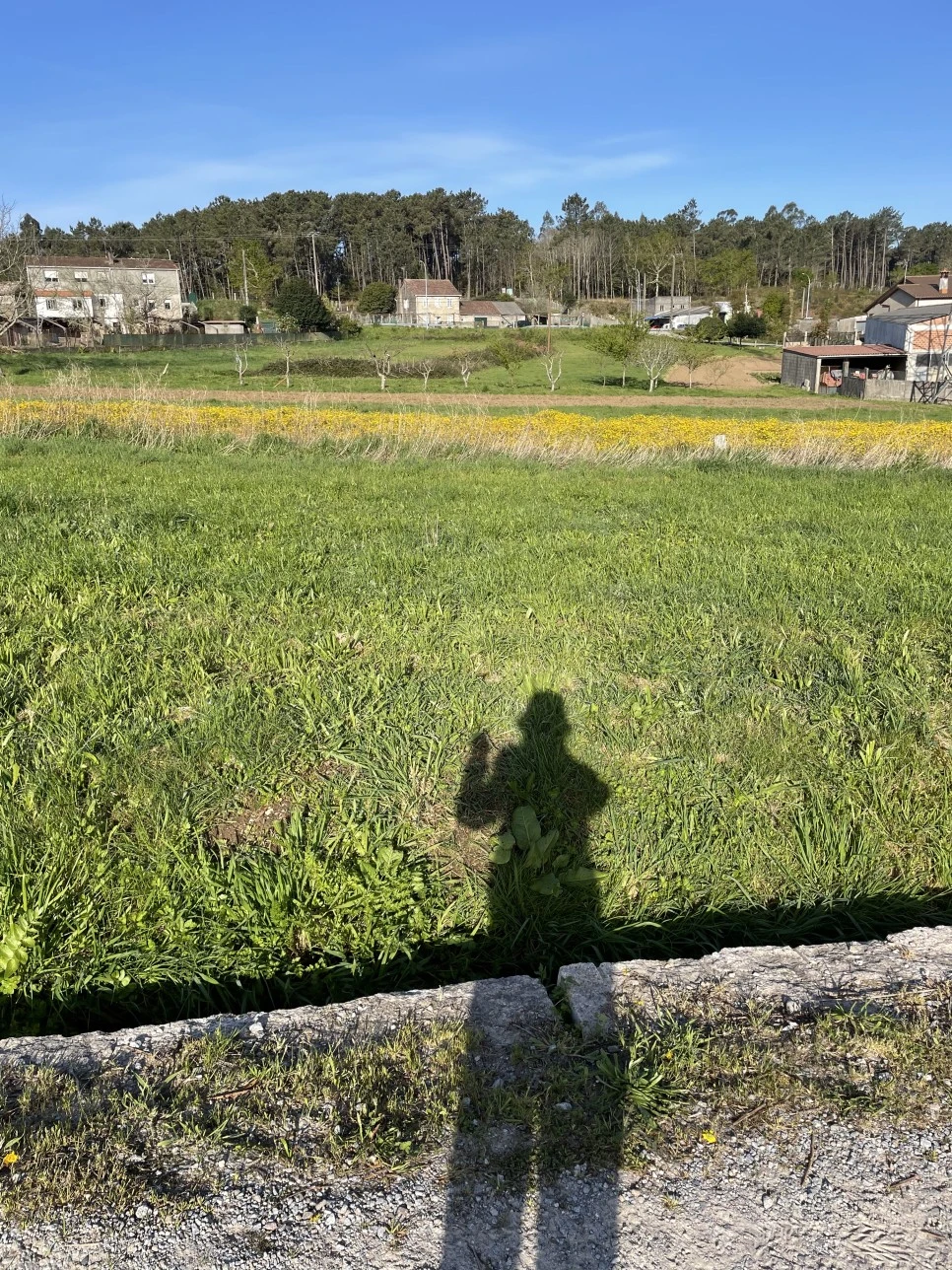 IMG_9747.jpg?type=w966