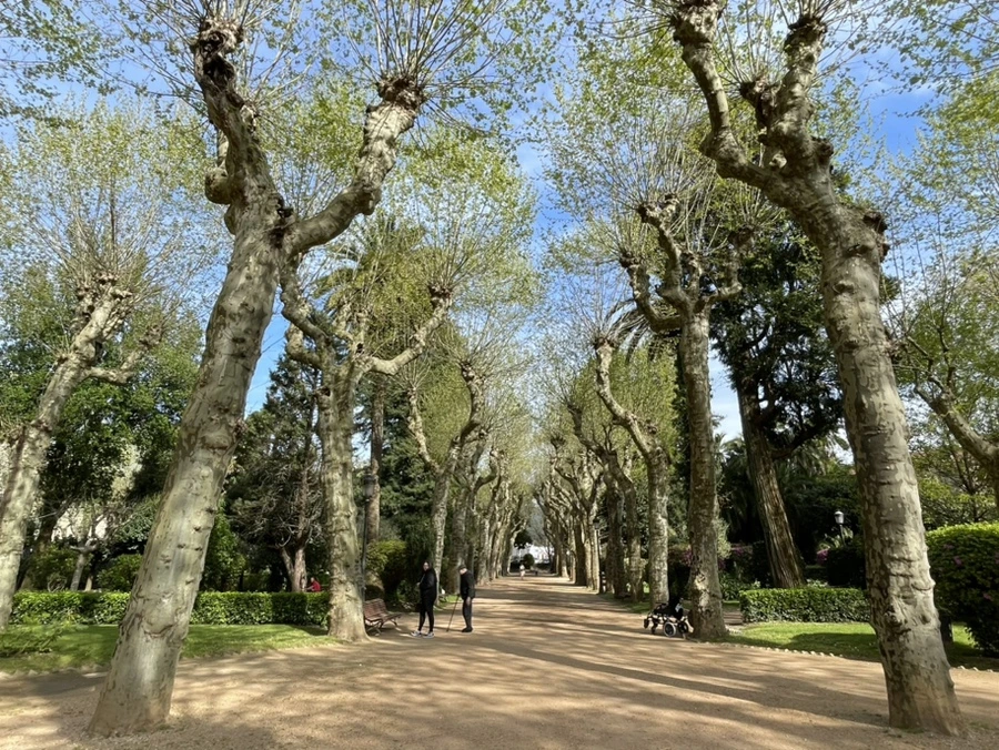 IMG_9806.jpg?type=w966