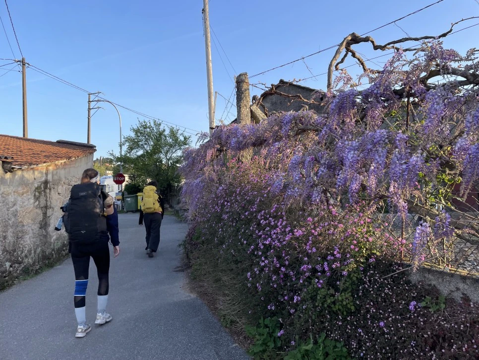 IMG_9731.jpg?type=w966