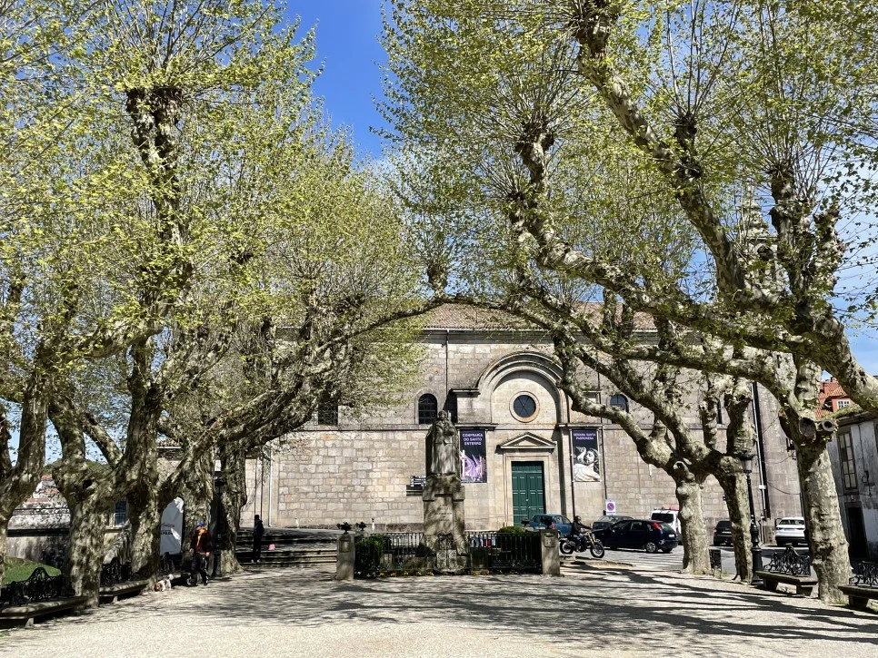 IMG_9793.jpg?type=w966