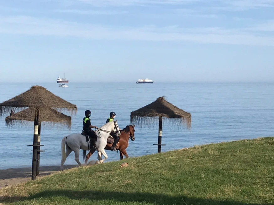 SE-779753a6-d3de-4f1e-bb06-d40807bb067f.jpg?type=w966