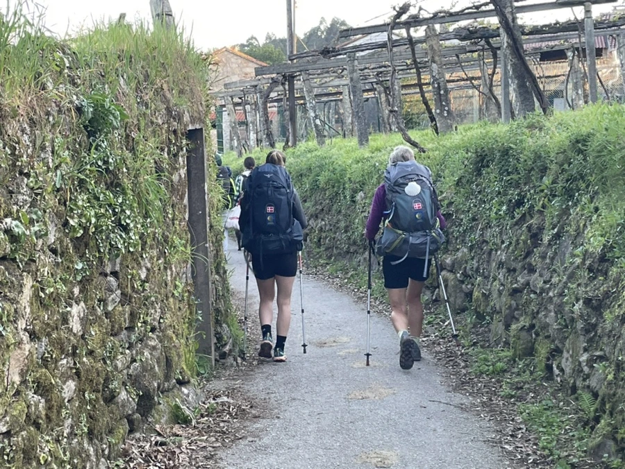 IMG_9823.jpg?type=w966