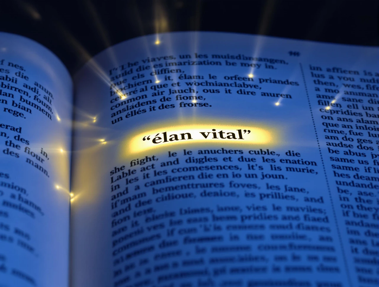 5c823976-51e8-471d-abbb-5acf743222ef