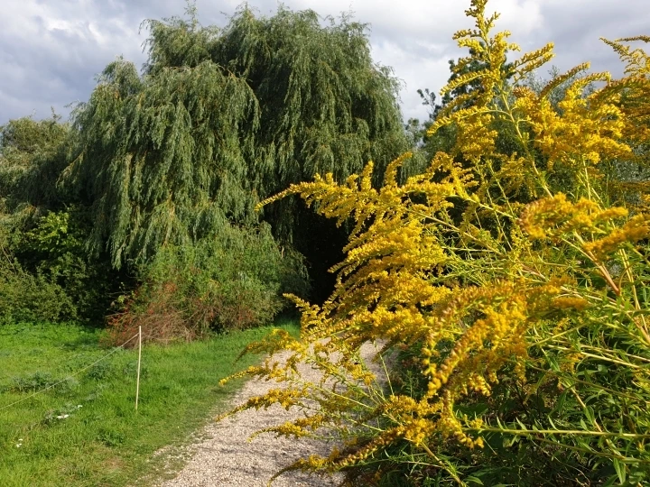 c348cabfd1950af7d45c87977497d730105028d1