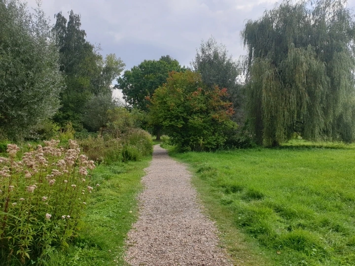 b9c8a0abdc6a301198daa689241b192166a8b1d8