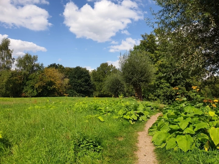 217da7ae58065bc9e981d40b85f8940680faf268