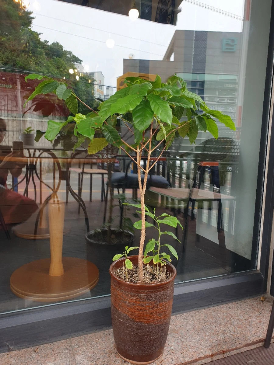 20190628_122408.jpg?type=w1