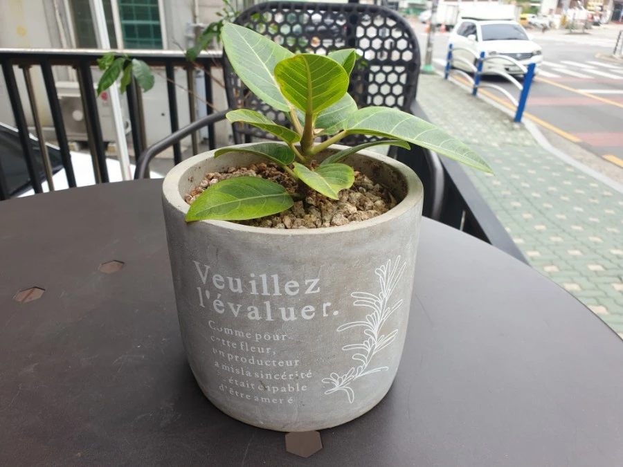 20190628_122033.jpg?type=w1