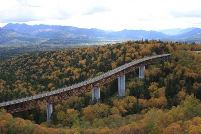 %28%EA%B0%80%EB%A7%88%EC%8B%9C%ED%98%B8%EB%A1%9C_%EA%B4%80%EA%B4%91%EC%A0%95%EB%B3%B4%29_%EB%A7%88%EC%B8%A0%EB%AF%B8%EC%98%A4%ED%95%98%EC%8B%9C%28%E6%9D%BE%E8%A6%8B%E5%A4%A7%E6%A9%8B%29.jpg?type=w800