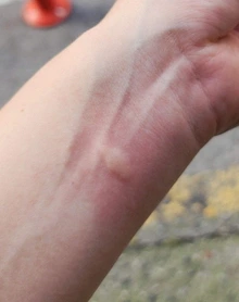 SE-52a4c963-2281-4783-a14d-6c6a832b0598.jpg?type=w1