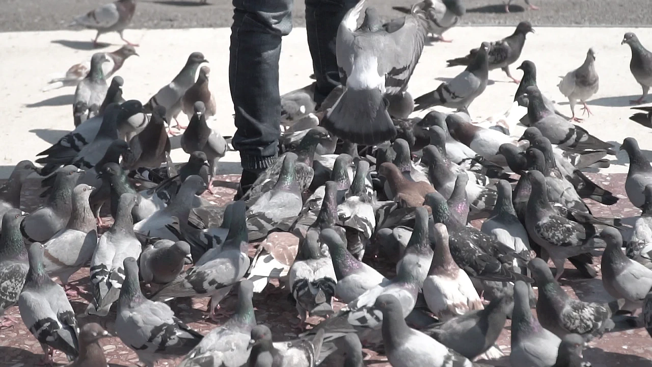 FT2ztYRk7zzO3jI3pZr9Q3prtV0t_nmZHkvXK-ffBwlbKpYhRgKOARPlyHPwnADOrk_hfYqo2T-aKCuKJFNDWd8aX4q5Su4rkaQfNKmG0ARIepCNpLftbeugV30Spqb6mnUOjOc4