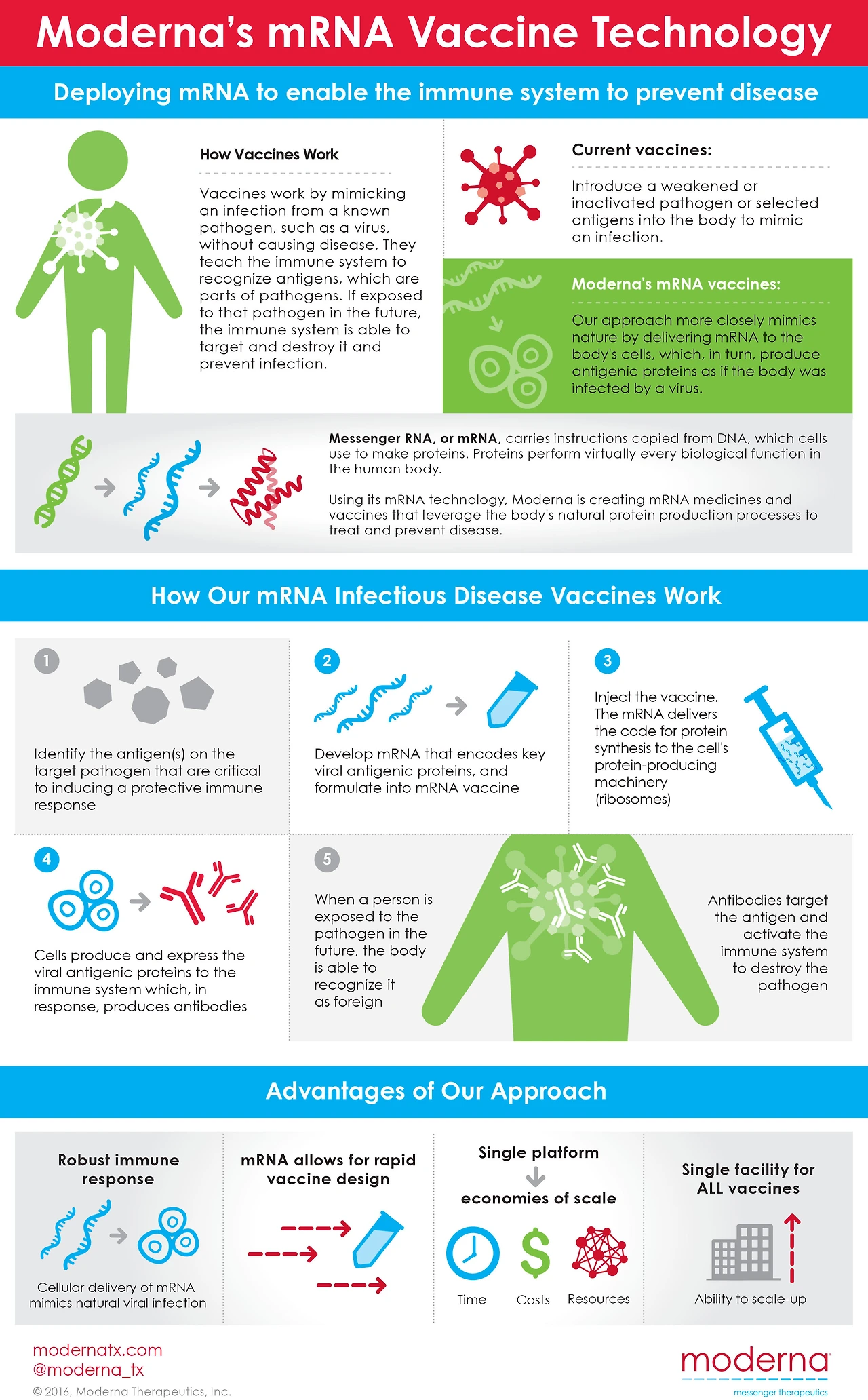 origModerna+mRNA+Vaccines+Infographic+090616_v6.jpg?download=1