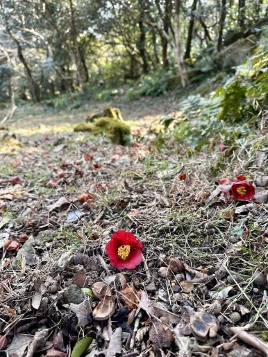 77333973-734E-4FD7-87AE-0CB1BB1993A6_1_201_a.jpeg?type=w386