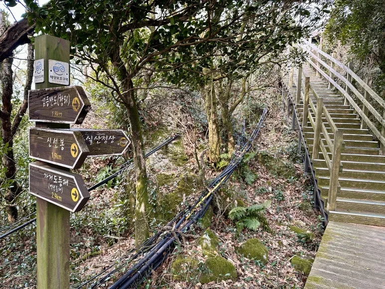 E727E838-14E3-4148-81A3-EF47685C3D4B_1_201_a.jpeg?type=w773