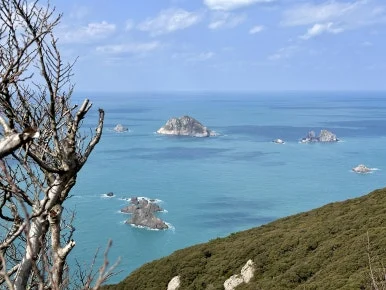 EBADC122-50EE-4579-84F0-0DC70332C7D4_1_201_a.jpeg?type=w386