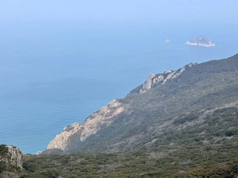 16AB623B-35F3-41BE-9268-68FC593F18E5_1_201_a.jpeg?type=w773