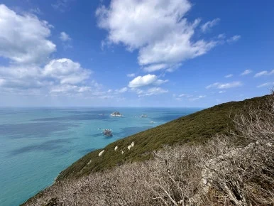 A272F6C7-2489-4835-A6E2-38B40117605C_1_201_a.jpeg?type=w386