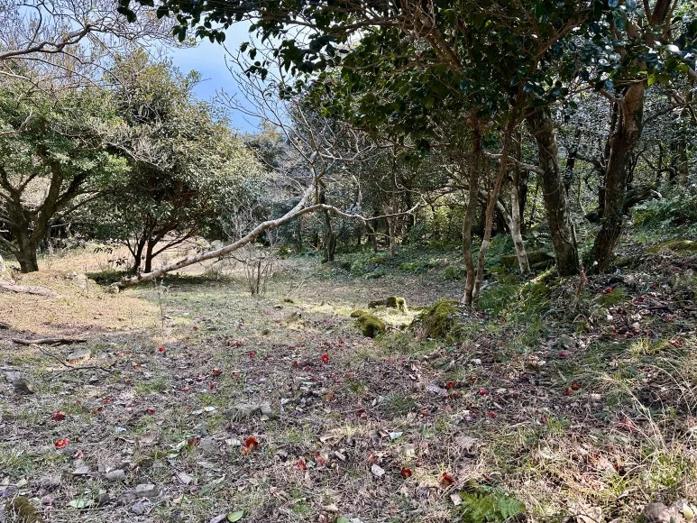 8B2F8184-4491-41CB-A3DA-267C92C28321_1_201_a.jpeg?type=w773