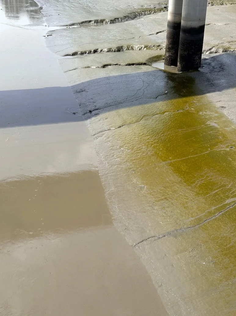 SE-63f56d98-44d5-4d37-90c2-f871e9bf2117.jpg?type=w773