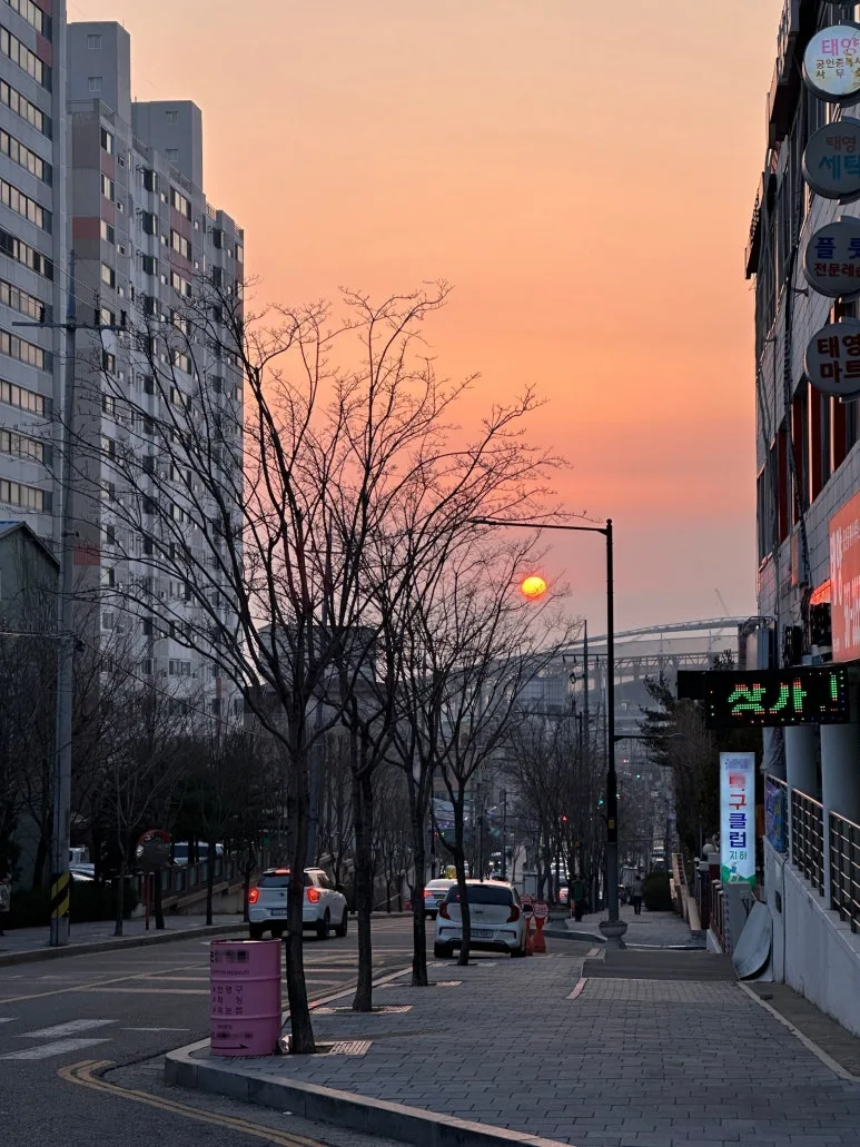 SE-b5e7c62d-9cbb-4165-ad4e-b45eae7f1b7a.jpg?type=w773