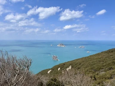 C43205FB-037C-4222-A1D8-2FAB14624E32_1_201_a.jpeg?type=w386