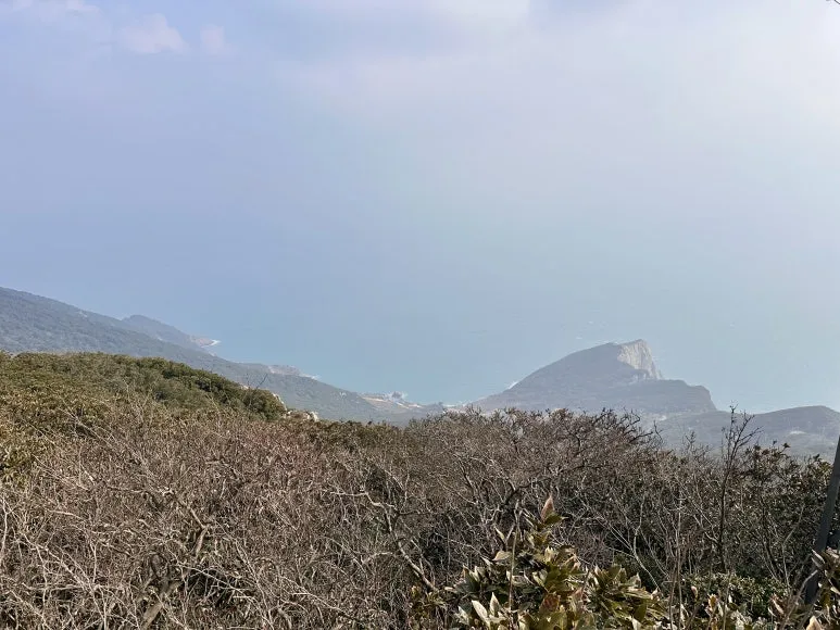 FDE55B65-1C42-4895-816E-DF60DE93F7A4_1_201_a.jpeg?type=w773