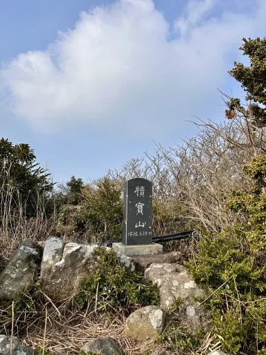 1BC9AD89-95A6-4F3D-95A7-65E3138067B2_1_201_a.jpeg?type=w386