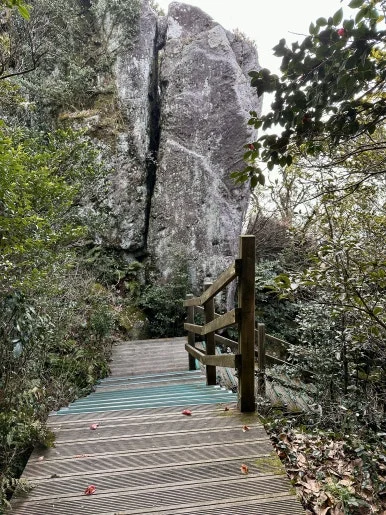 9D40F69F-7958-4149-AC2A-D9686F385586_1_201_a.jpeg?type=w386