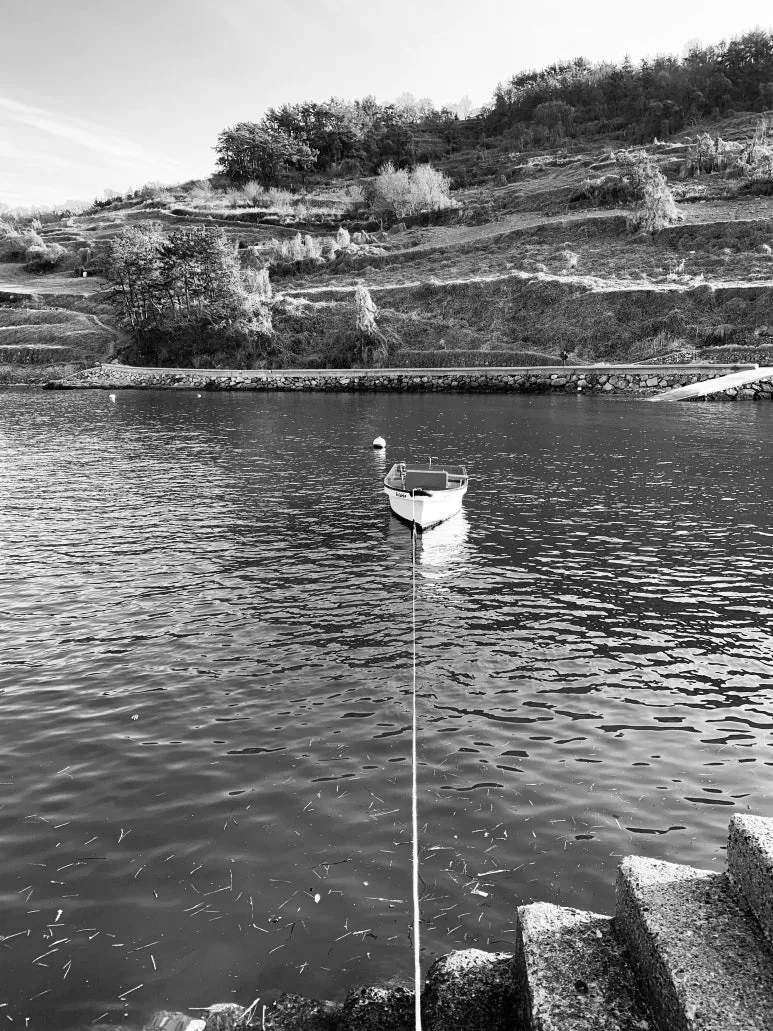 IMG_E2986.JPG?type=w773