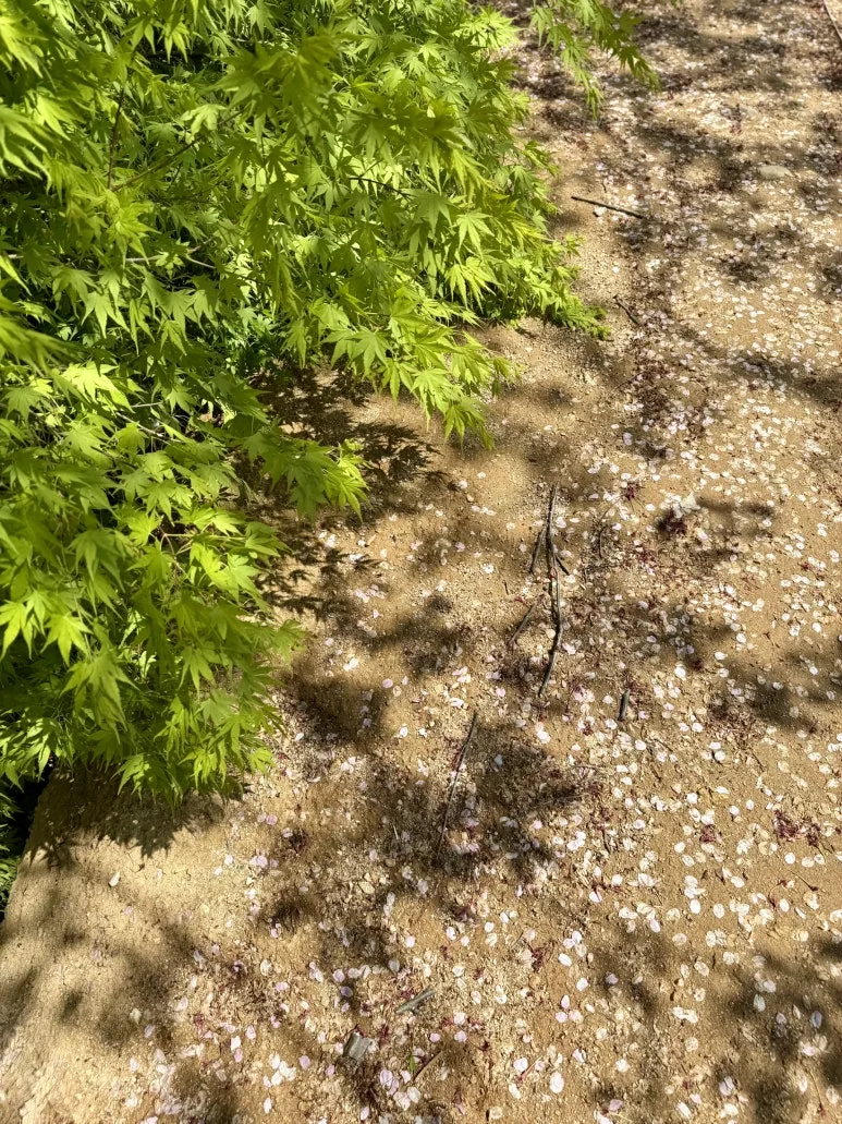 IMG_2128.jpg?type=w773