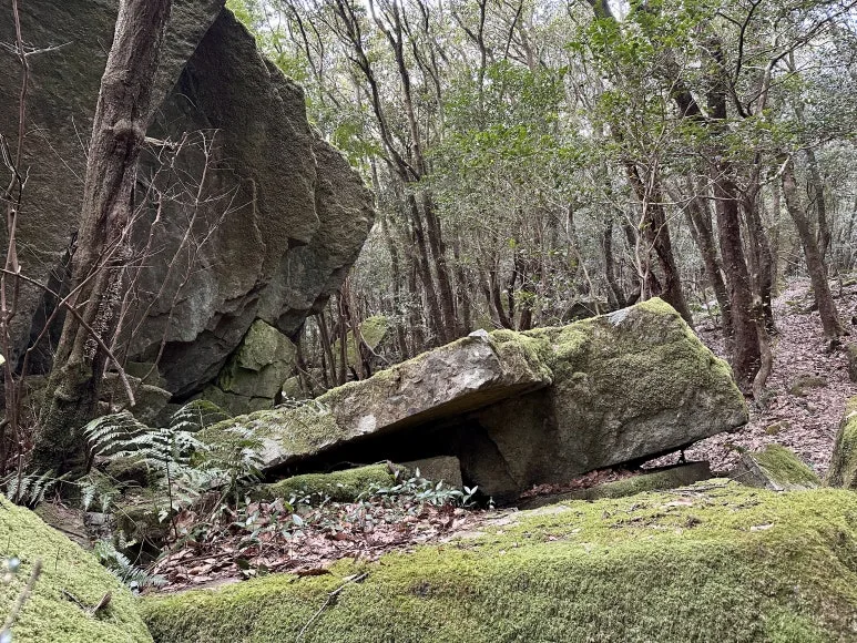 1D2D9568-1A94-45B4-A58B-1104E305C917_1_201_a.jpeg?type=w773