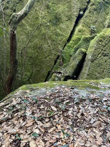 A506B0B4-9C33-4C58-A15E-1A8AABE36598_1_201_a.jpeg?type=w386