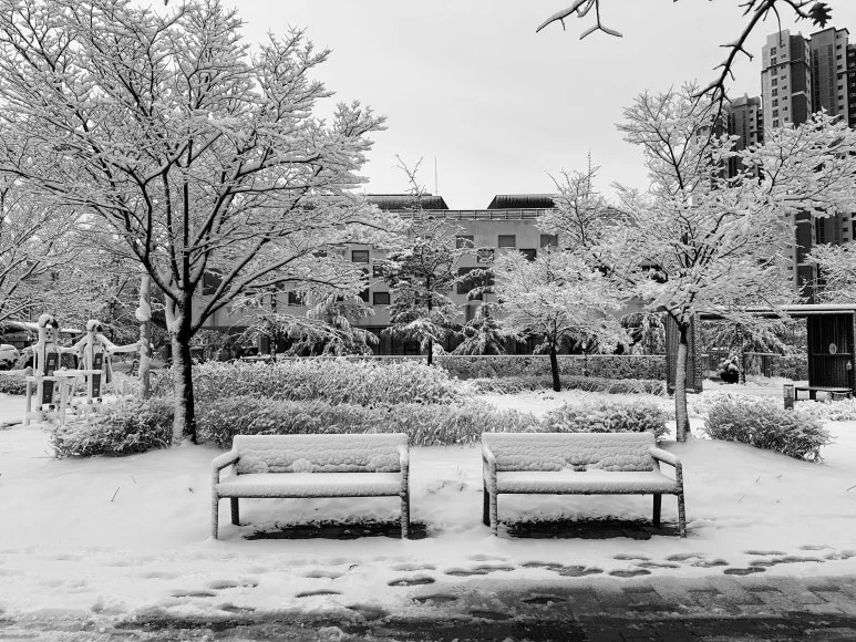 SE-b27ae154-deaf-48e4-8a8f-b341b7cf4777.jpg?type=w773