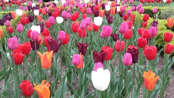 9937473359AA86D415021F