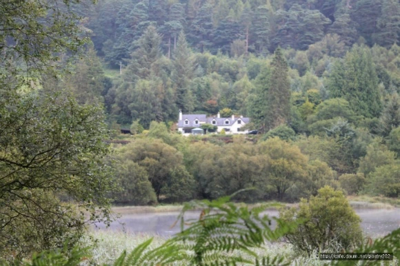 9985FF33599429E91E99FF