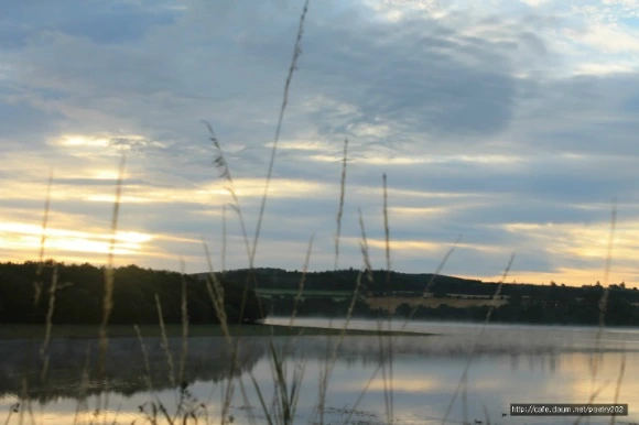 9903423359942A1427E441