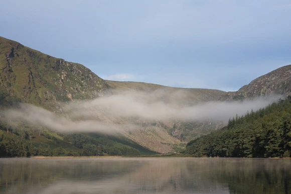 99AD96335A25C62F0FCB40