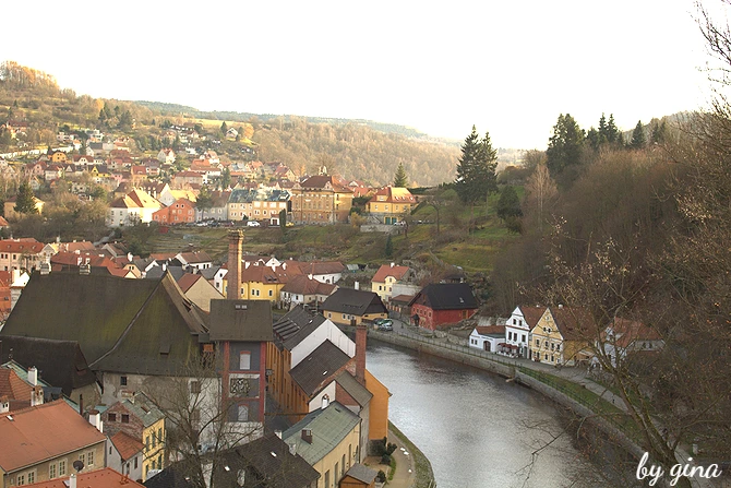 image_2090818061521421567224.jpg?type=w773