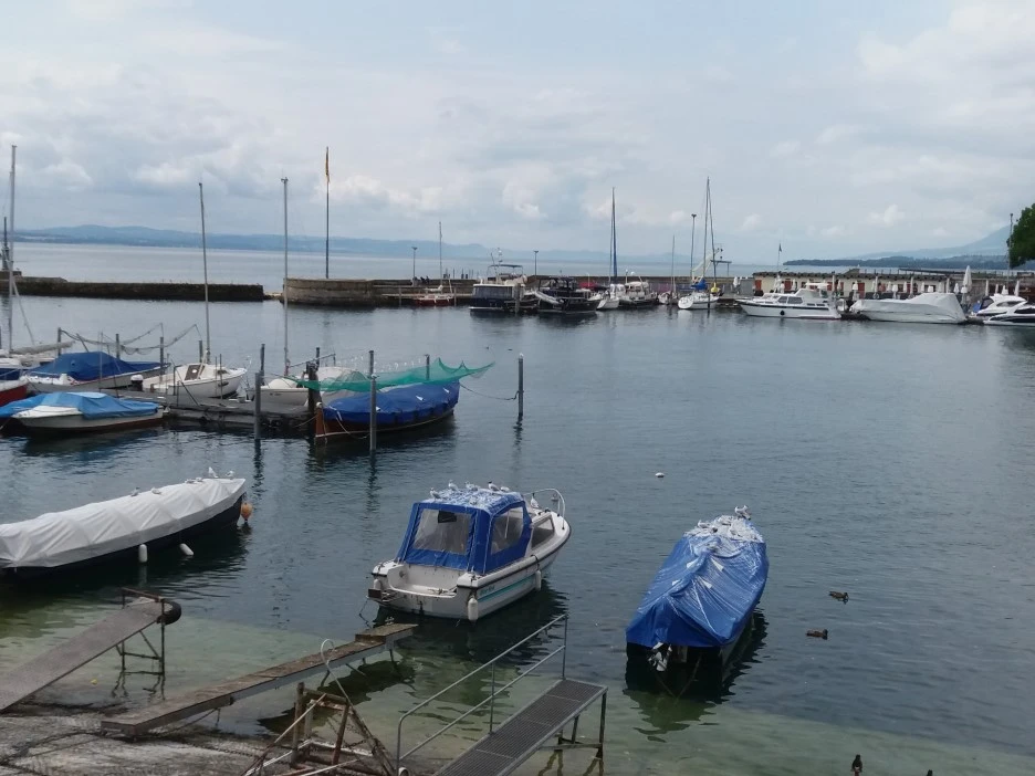 20190727_120206.jpg?type=w1