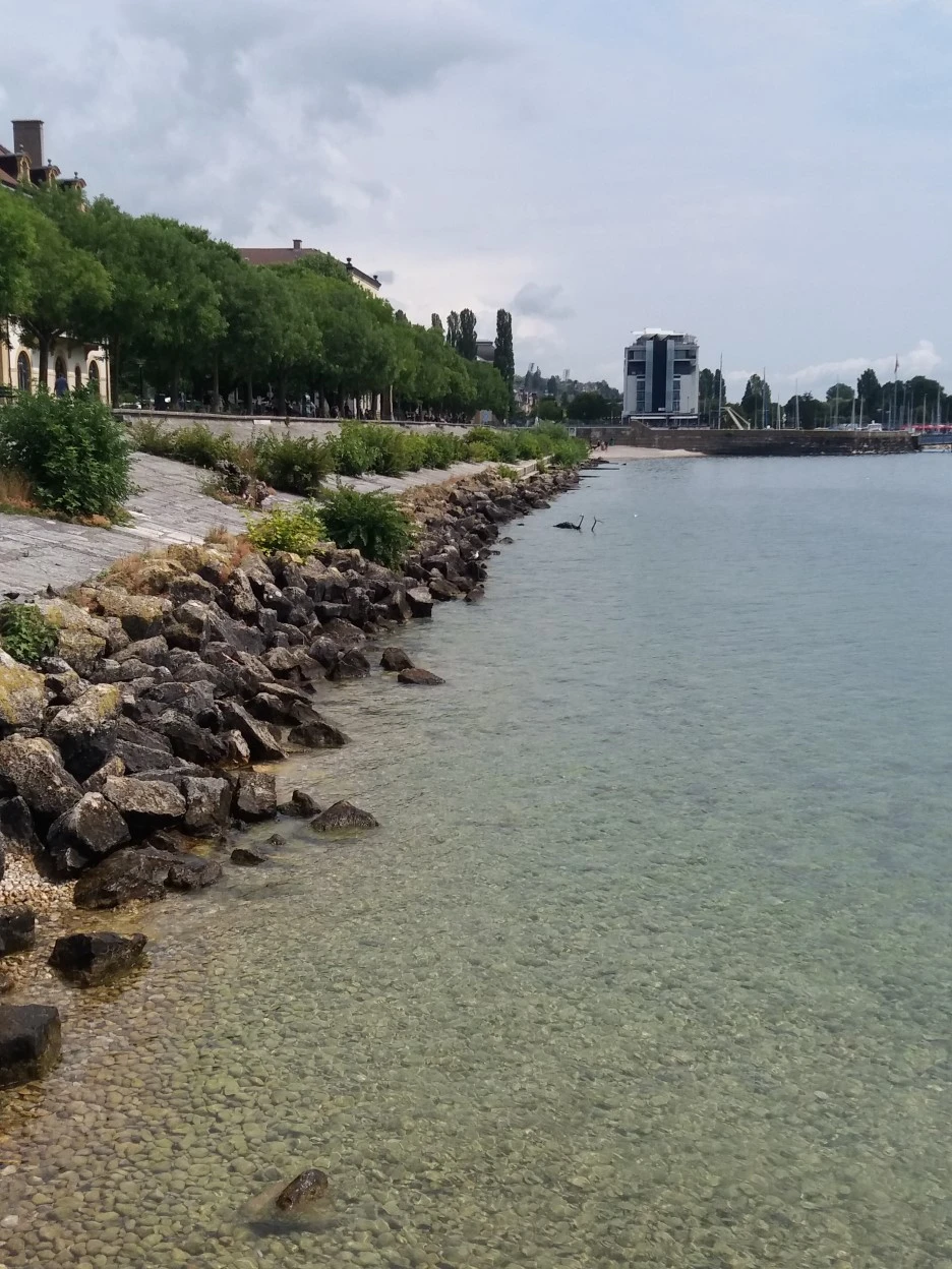 20190727_121821.jpg?type=w1