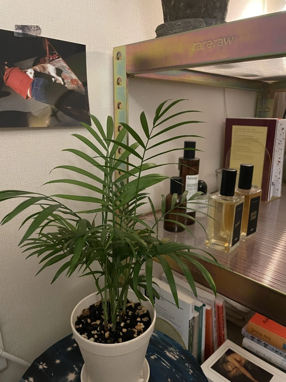 IMG_0418.JPG?type=w1