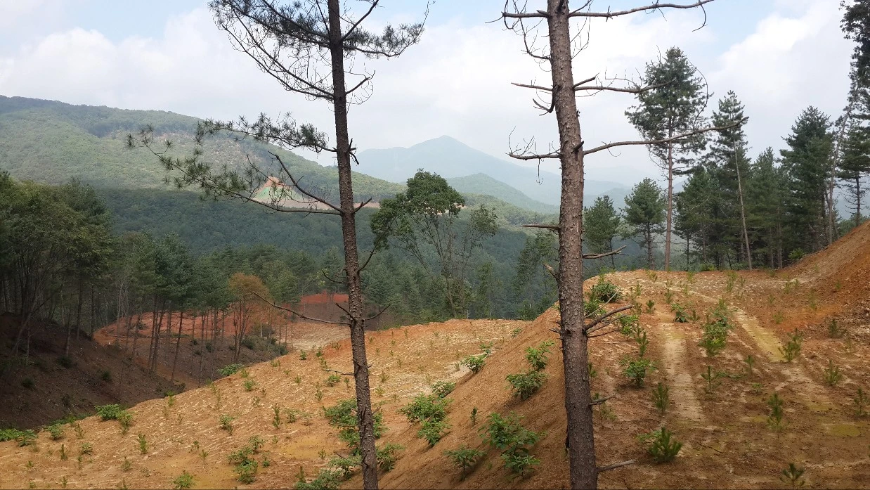 AD_4nXdt0CHkmVLTlomrJbce8seydWkpc97mLu8f0olPK7rUEv1HMLCtvp_XWFxcGJaPvwBWN18C3a24gMeZY2hDjvQV4qLUvG_6LzcJBYjTtA_wk0f63hnkaL-l8467p4RZ0kVg0LWXxK6hv_eERCyDsJ042fcD?key=uxbwAM01FAiTrgEEUi71rg